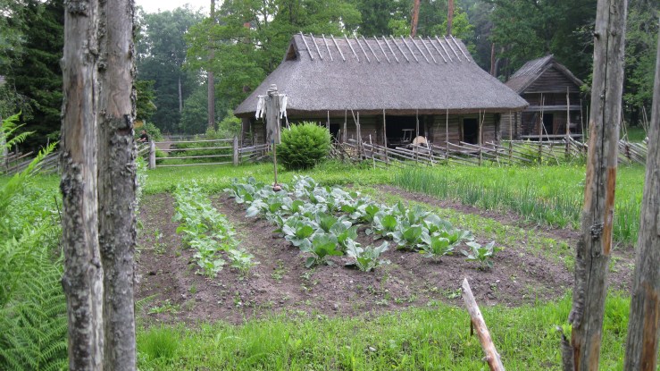 Garden at Pulga Farm