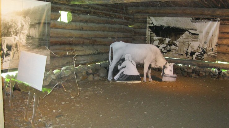 milking exhibit