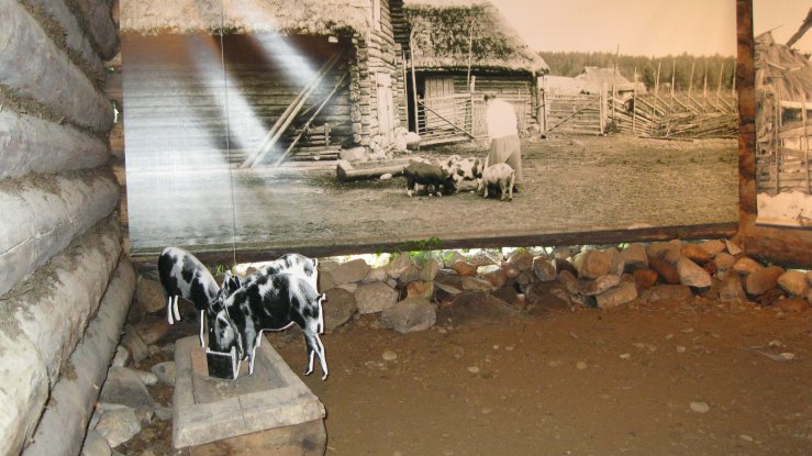 Pig and cut out trough