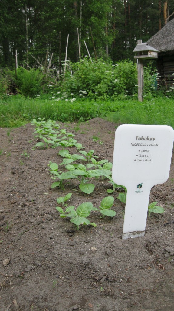 Tobacco Row with Label