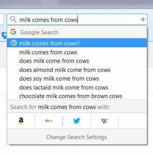 milk comes from cows google search