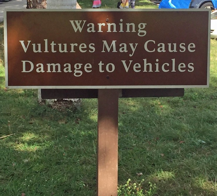 Some signs stand out just from the nature of the message. 