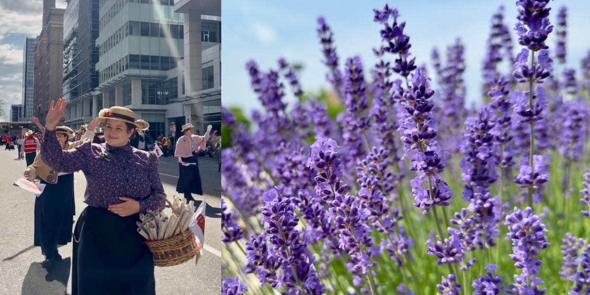 LAVENDER SPRIGS: Wear it with&nbsp;Pride!